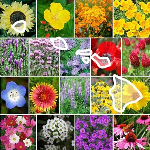 Eden Brothers Hawaii Wildflower Mixed Seeds for Planting, 1 lb by EdenBrothers