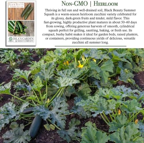 Black Beauty Zucchini Seeds (Cucurbita Pepo) – 25+ Non-GMO & Heirloom Seeds by Isla’s Garden Seeds, Classic Dark-Green Summer Squash Variety w/Tender Flesh & Mild Flavor, Fast-Growing, High-Yielding - Image 3