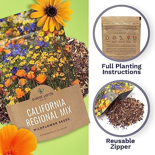 California Wildflower Mixture - Bulk 1/4 Pound Bag - Over 30,000 Native Seeds - Open Pollinated and Non GMO - Image 5
