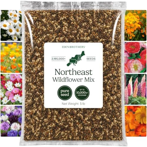 Eden Brothers Northeast Wildflower Mixed Seeds for Planting, 5 lb, 2,400,000+ Seeds with Cosmos, Candytuft, Shasta Daisy | Attracts Pollinators, Plant in Spring or Fall, Zones 3, 4, 5, 6, 7, 8, 9, 10 by EdenBrothers