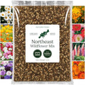 Eden Brothers Northeast Wildflower Mixed Seeds for Planting, 5 lb, 2,400,000+ Seeds with Cosmos, Candytuft, Shasta Daisy | Attracts Pollinators, Plant in Spring or Fall, Zones 3, 4, 5, 6, 7, 8, 9, 10 by EdenBrothers