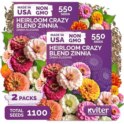 1,100 Crazy Blend Zinnia Heirloom Flower Seeds for Planting, Zinnia Elegans by KVITER