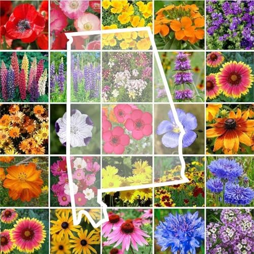 Eden Brothers Alabama Wildflower Mixed Seeds for Planting, 1 lb by EdenBrothers