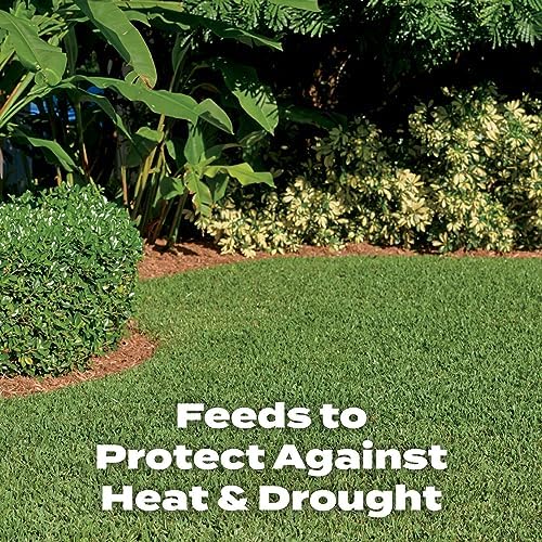 Scotts Turf Builder Southern Lawn Food, 28.12 lbs. - Image 5