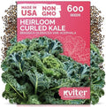 KVITER 600 Vates Blue Scotch Curly Kale Seeds (Brassica oleracea) – Curled Green Kale Seed Packets Heirloom Seed Outdoor & Indoor Home Garden – Cold Hardy Dwarf Vegetable Seeds for Planting by KVITER