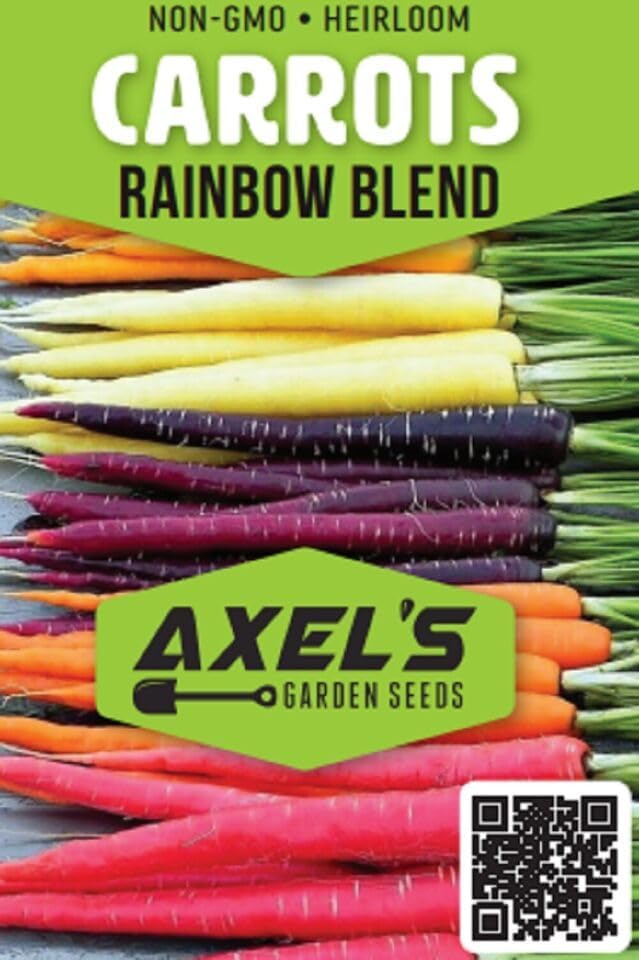 Rainbow Carrot Seeds for Planting Heirloom Packets 750 Seeds – Plant & Grow Rainbow Carrots in Home Outdoor Garden, Great Gardening Gift – 1 Packet - Image 2