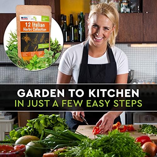12 Italian Herb Seeds Pack - Heirloom and Non GMO, Grown in USA - Indoor or Outdoor Garden - Four Basil Varieties and Parsley, Cilantro, Rosemary, Thyme, Oregano, Marjoram, Sage, Arugula - Image 4