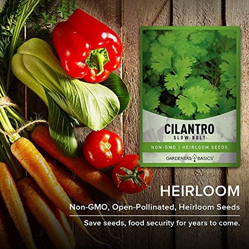 Gardeners Basics Cilantro Seeds for Planting Heirloom Non-GMO Herb Coriander Plant Seeds for Home Garden Vegetables Makes a Great Gift for Gardening - Image 7