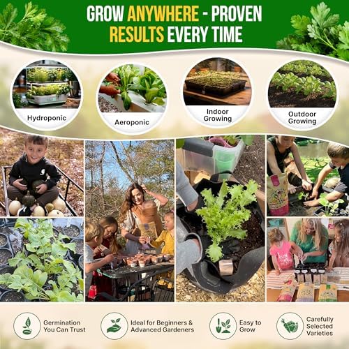 Italian Parsley Seeds Pack 5G - Over 2,000 Non-GMO Heirloom Parsley Seeds for Planting Herbs in Individual Seed Packet, Herbs Seeds for Planting Home Garden Indoor & Outdoor Gardening - Image 5