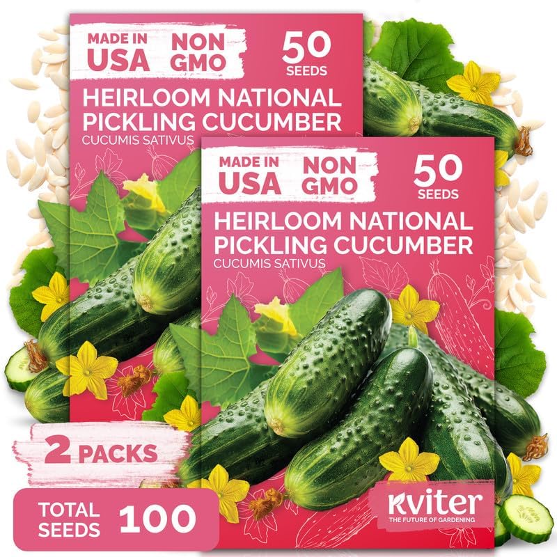 100 National Pickling Cucumber Heirloom Vegetable Seeds, Cucumis Sativus by KVITER