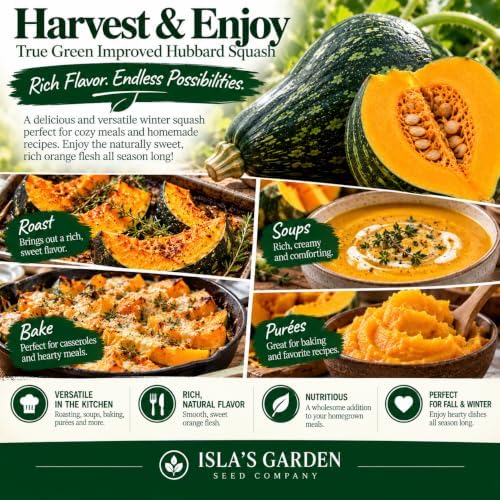 True Green Improved Hubbard Squash Seeds (Cucurbita Maxima) – 25 Heirloom Non-GMO Seeds by Isla’s Garden Seeds, Ideal for Planting, Excellent for Home Gardens, Perfect Gardening Gift - Image 5