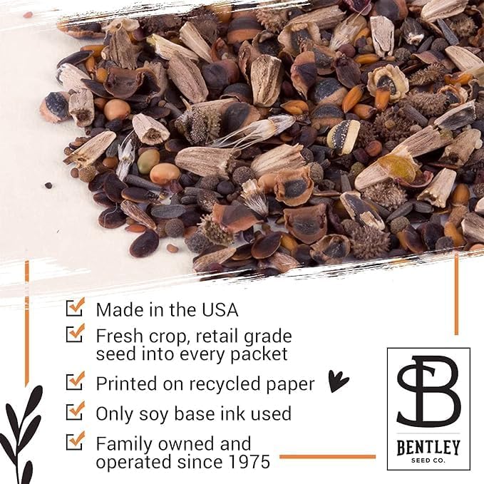 Bentley Seed Co. | Bee Kind Pollinator Flowers | Beautiful Bee Art Kraft Look Seed Packets | Environmental Favors Cards for Guests | Wildflower Mix Seed Packets | Eco-Friendly Hand Out Gift | 25 Pack - Image 5