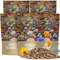 Drought Tolerant Wildflowers Mix – Bulk 5 Pounds – Over 600,000 Open Pollinated Non-GMO Seeds – 21 Different Dryland Species by SweetYards