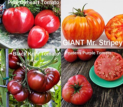 Mixed Seeds 30 Giant Tomato Seeds Mix of 19 Varieties Heirloom Non-GMO - Image 3