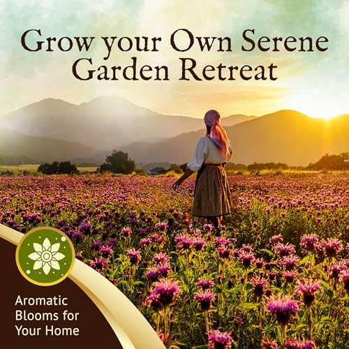 Everwilde Wild Bergamot Seeds 2,000 Count – Native Perennial Wildflower – Attracts Bees, Butterflies & Hummingbirds – Drought Tolerant & Deer Resistant – Pollinator Gardens – XL Mylar Jumbo Packet - Image 4