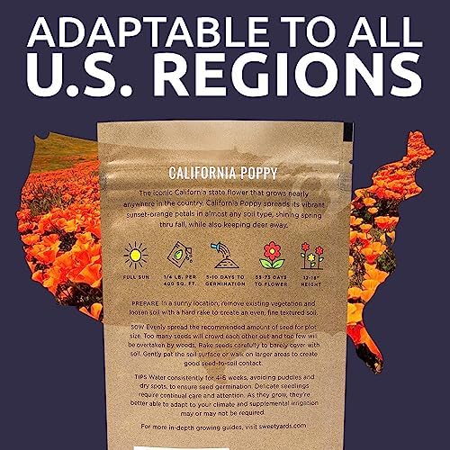 California Orange Poppy Wildflower Seeds - Bulk 1/4 Pound Bag - Over 80,000 Native Seeds - California State Flower! - Image 7