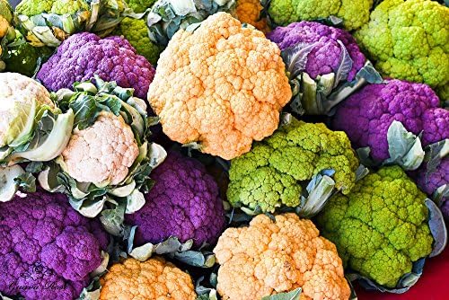 50+ Cauliflower Mix Seeds Heirloom Non-GMO Purple Green Yellow White, Super Delicious, Healthy, from USA, US Grown! - Image 4