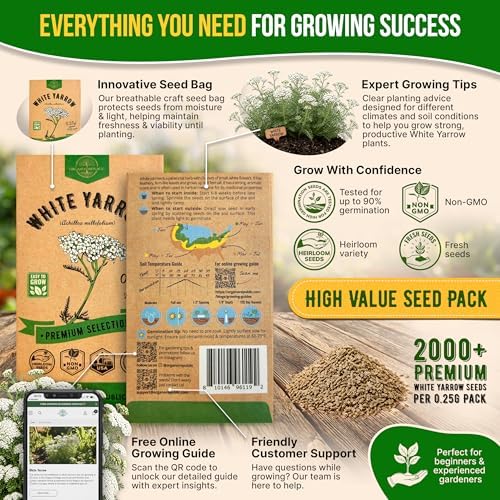 White Yarrow Seeds Pack 0.25 G - Over 2000 Non-GMO Heirloom Yarrow Seeds for Planting Herbs in Individual Seed Packet, Herbs Seeds for Planting Home Garden Indoor & Outdoor Gardening - Image 3