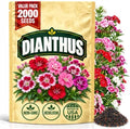 Dianthus Seeds for Planting, Dianthus chinensis L., Heirloom Non-GMO China Pink Flower Seeds, High Germination Colorful Garden Flower for Borders Containers and Cottage Gardens, 2000 Count by WilyFox