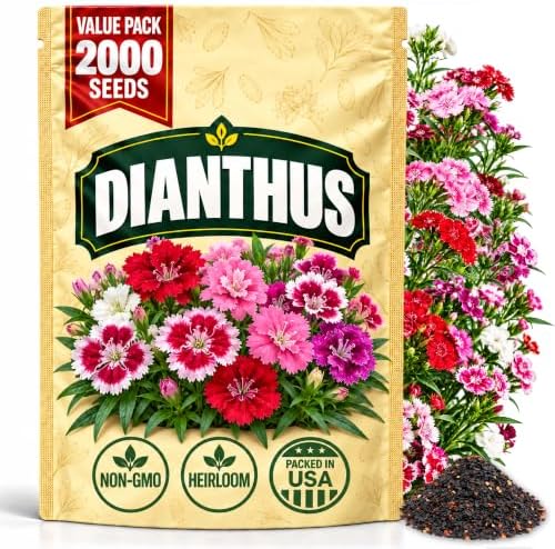 Dianthus Seeds for Planting, Dianthus chinensis L., Heirloom Non-GMO China Pink Flower Seeds, High Germination Colorful Garden Flower for Borders Containers and Cottage Gardens, 2000 Count by WilyFox