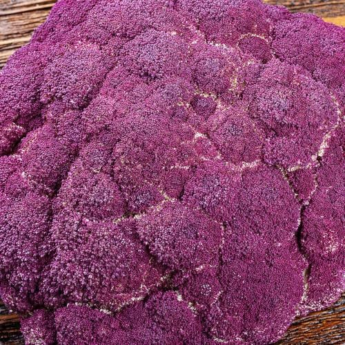 Seed Needs Purple Sicily Cauliflower Seeds to Plant Heirloom 2 Packs - Image 2
