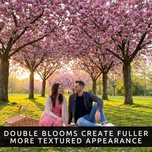 Cherry Blossom Tree Seeds for Planting (40 Seeds) - Great for Bonsai, Heirloom Sakura Flower Tree Seeds for Indoor & Outdoor Planting, Non GMO Bonsai Seed Kit for Home Garden Growing - Image 5