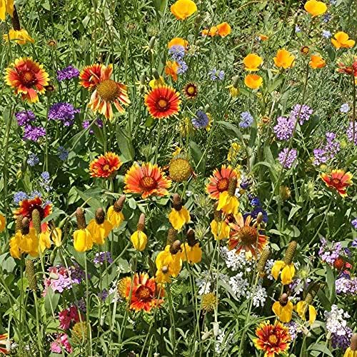 Outsidepride Southwest Wild Flower Seed Mix - 1/4 lb. Heat & Drought Tolerant Premium Blend of Annual & Perennial Wildflower Seeds for Planting on Outdoor Lawns & Gardens from Spring to Fall - Image 2