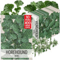 Seed Needs Horehound Seeds to Plant an Herb Garden - 10 Packs by SeedNeeds