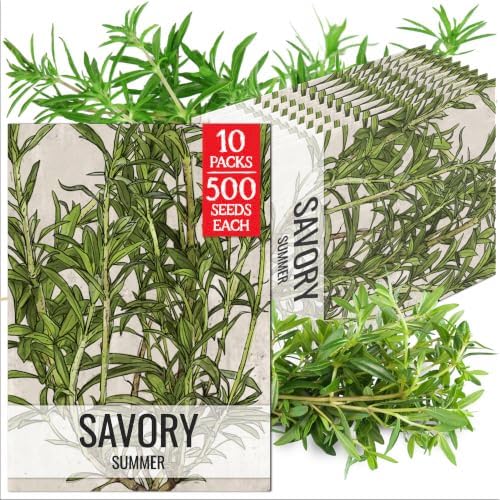 Seed Needs Summer Savory Seeds to Plant an Herb Garden - 10 Packs by SeedNeeds