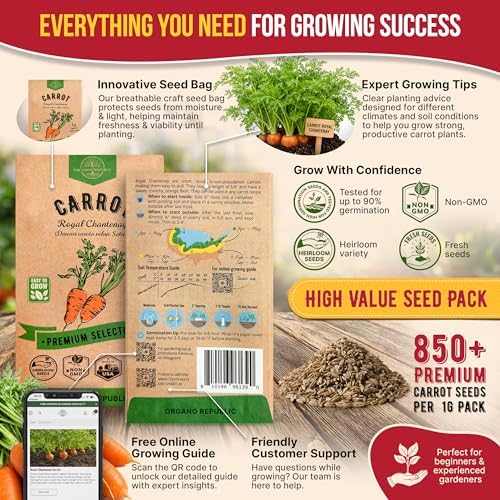 Organo Republic Carrot Royal Chantenay Seeds Pack 1G - Over 850 of Non-GMO Heirloom Carrot Seeds for Planting Vegetables in Individual Seed Packet, Vegetable Seeds for Planting Indoor & Outdoor Garden - Image 3