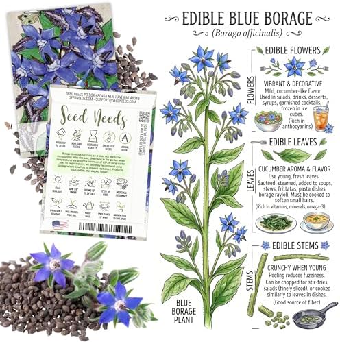 Seed Needs Edible Flower Seeds Variety Pack of 7 Wildflowers for Garnishing - Image 3