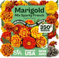 SVI 350 Sparky Mix French Marigold Seeds (Tagetes patula) – Dwarf Yellow and Orange Marigold Flowers Seed Packets, Marigolds Seed Mix – Heirloom Cut Flower Seeds for Outdoor Garden Borders, Containers by SVI