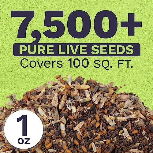 Northeast Wildflower Seeds - Extra Large 1 Ounce Packet - Over 7,500 Native Seeds - Open Pollinated and Non GMO Varieties for New York, Virginia, Pennsylvania, Maine and More! - Image 3