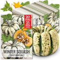 Seed Needs Sweet Dumpling Winter Squash Seeds to Plant Vegetables - 20 Pack by SeedNeeds
