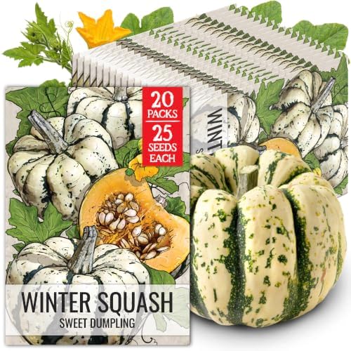 Seed Needs Sweet Dumpling Winter Squash Seeds to Plant Vegetables - 20 Pack by SeedNeeds