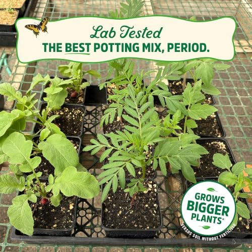 Back To The Roots Master Potting Mix, 100% Organic, for Better Yield and Larger Crops, 12 qt - Image 6