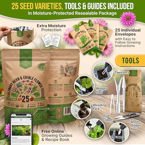 25 Culinary Herbs & Edible Flower Seed Variety Pack for Planting Indoor & Outdoors. 11900+ Non-GMO Heirloom Flower Seeds: Basil, Borage, Echinacea, Lavender, Oregano, Rosemary Seeds & More - Image 3