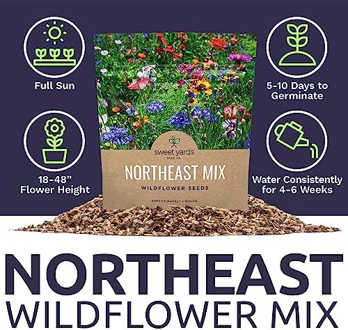 Northeast Wildflower Seeds - Extra Large 1 Ounce Packet - Over 7,500 Native Seeds - Open Pollinated and Non GMO Varieties for New York, Virginia, Pennsylvania, Maine and More! - Image 6