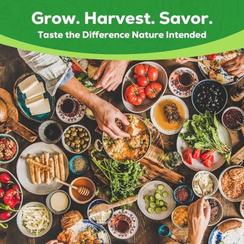Fall Winter Vegetable Heirloom Seeds | 30 Varieties | 17240+ High Yield Garden Seeds | Lettuce, Kale, Sweet Basil, Cherry Tomato& More | 2026 Season | for Indoor & Outdoor Home Planting - Image 6