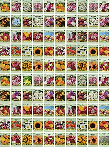 Set of 100 Assorted Valley Green Flower Seed Packets! Flower Seeds in Bulk - 20+ Varieties Included by BlackDuckBrand