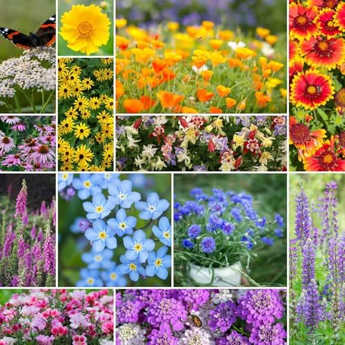 Eden Brothers Deer Resistant Wildflower Mixed Seeds for Planting, 25 lb by EdenBrothers