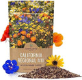 California Wildflower Mixture - Bulk 1/4 Pound Bag - Over 30,000 Native Seeds - Open Pollinated and Non GMO by SweetYards