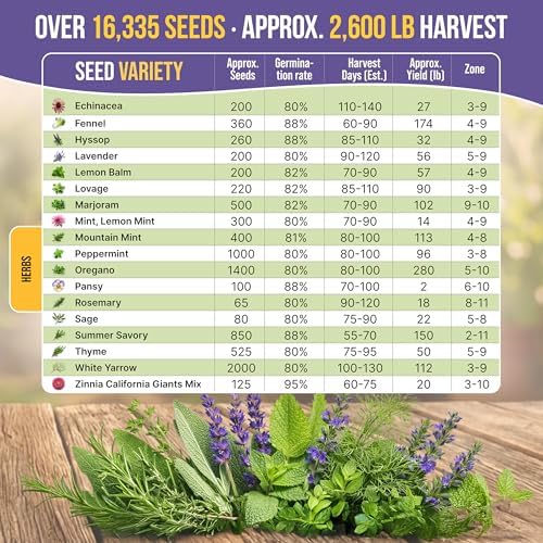 35 Medicinal & Tea Herb Seeds Variety Pack for Indoor & Outdoors. 16,335+ Non-GMO Heirloom Garden Seeds: Anise, Bergamot, Borage, Cilantro, Chamomile, Dandelion, Rosemary Seeds & More - Image 5