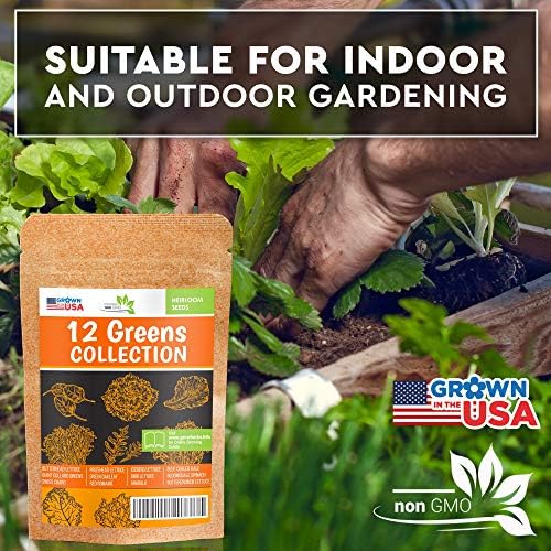 12 Lettuce and Greens Seed Pack - Heirloom and Non GMO, Grown in USA - Indoor or Outdoor Garden - Iceberg, Arugula, Kale, Spinach, Bibb, Butter, Green Oakleaf, Giant Collard, Red Romaine - Image 3