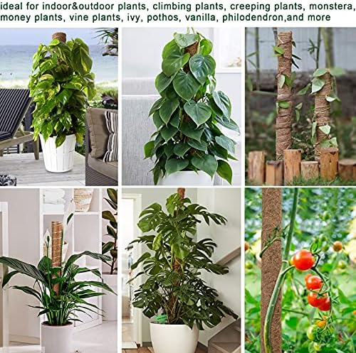 Fabulas Moss Pole 58.7 Inch - Monstera Plant Support 5 Pack, 17.5" and 12" Plant Stakes for Indoor Plants Coco Coir Moss Pole Sticks for Climbing Potted Live Plants, Pothos, Philodendron - Image 6