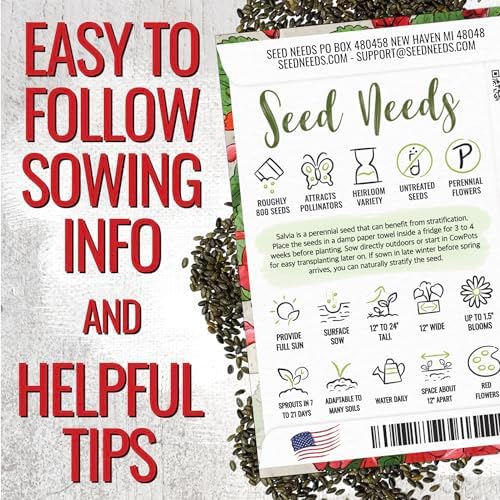 Seed Needs Scarlet Sage Seeds to Plant Perennial Red Salvia 10 Pack - Image 4