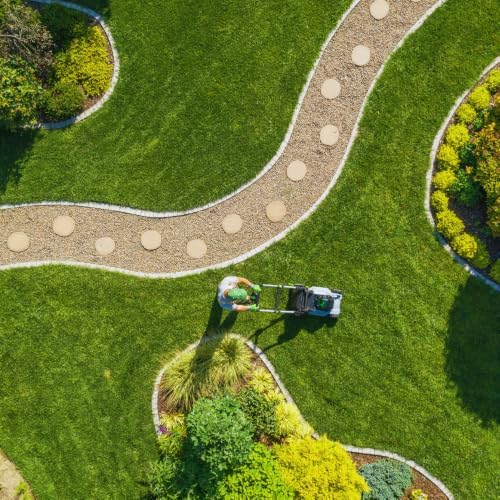 120,000 Emerald Zoysia Grass Seeds for Lawn Gardening Outside - Image 2