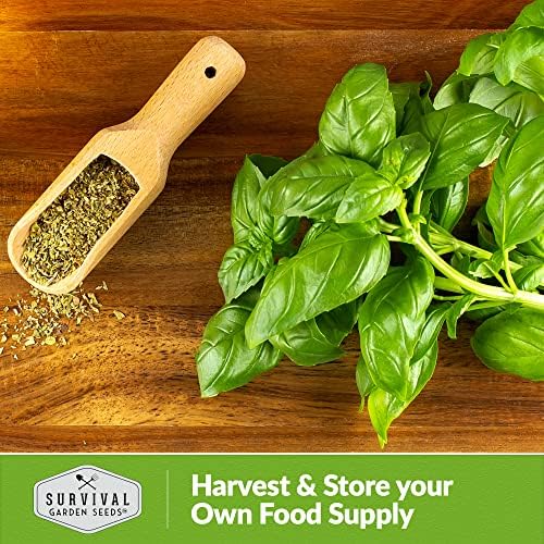 Basil Seeds Mix for Planting - Survival Garden Seeds (5 Pack) - Image 5