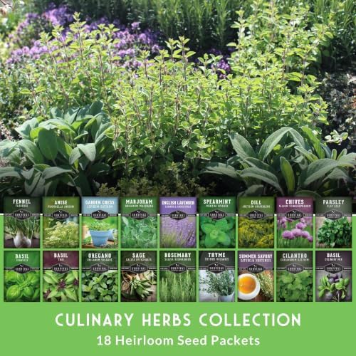 Culinary Herb Seeds 18 Variety Pack for Planting Indoors or Outdoors - Image 7