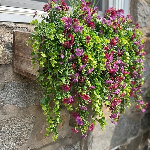 6 Pack Artificial Eucalyptus Hanging Plants 21.65 in Trailing Vine - Image 5